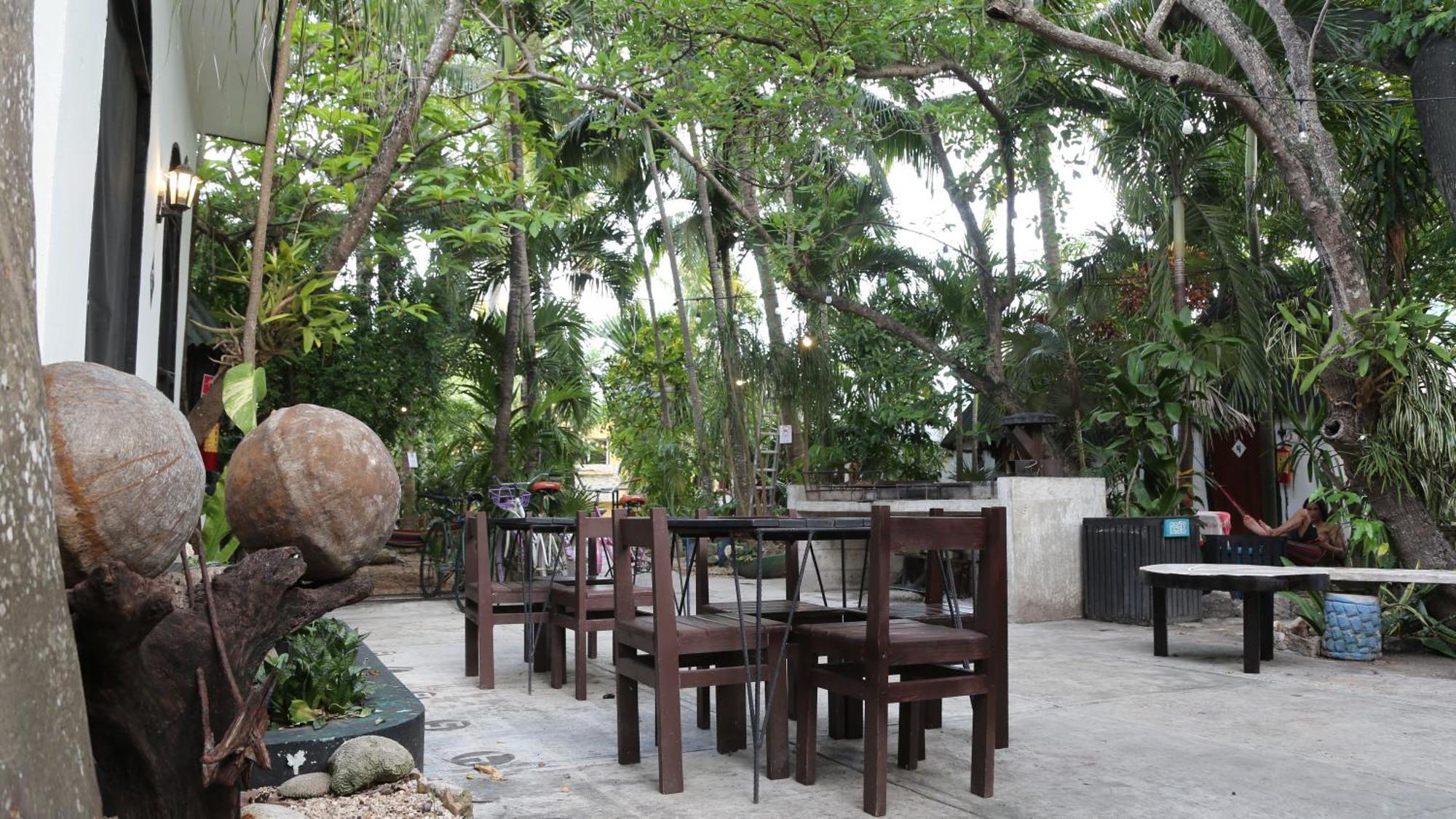 Oryx * Tulum